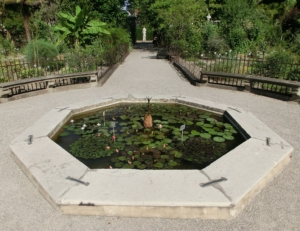 Padova - Orto_Botanico - Fontana tropicale