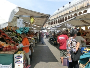 Padova - Le piazze